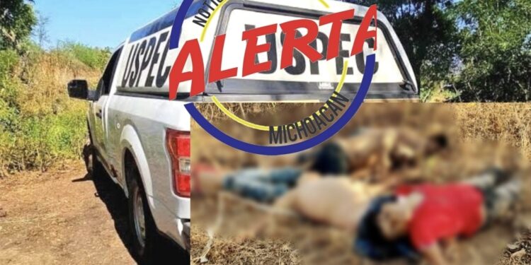Localizan a seis hombres sin vida durante operativo de seguridad en Apatzingán
