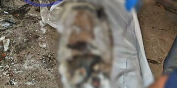 De terror!!! Le cortaron la cabeza y lo enterraron en el patio de una casa, en la Col. Miguel Hidalgo de Zamora